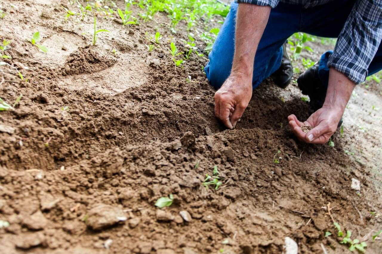 Gärtnern im Alter: Pflegeleichter Garten für Senioren