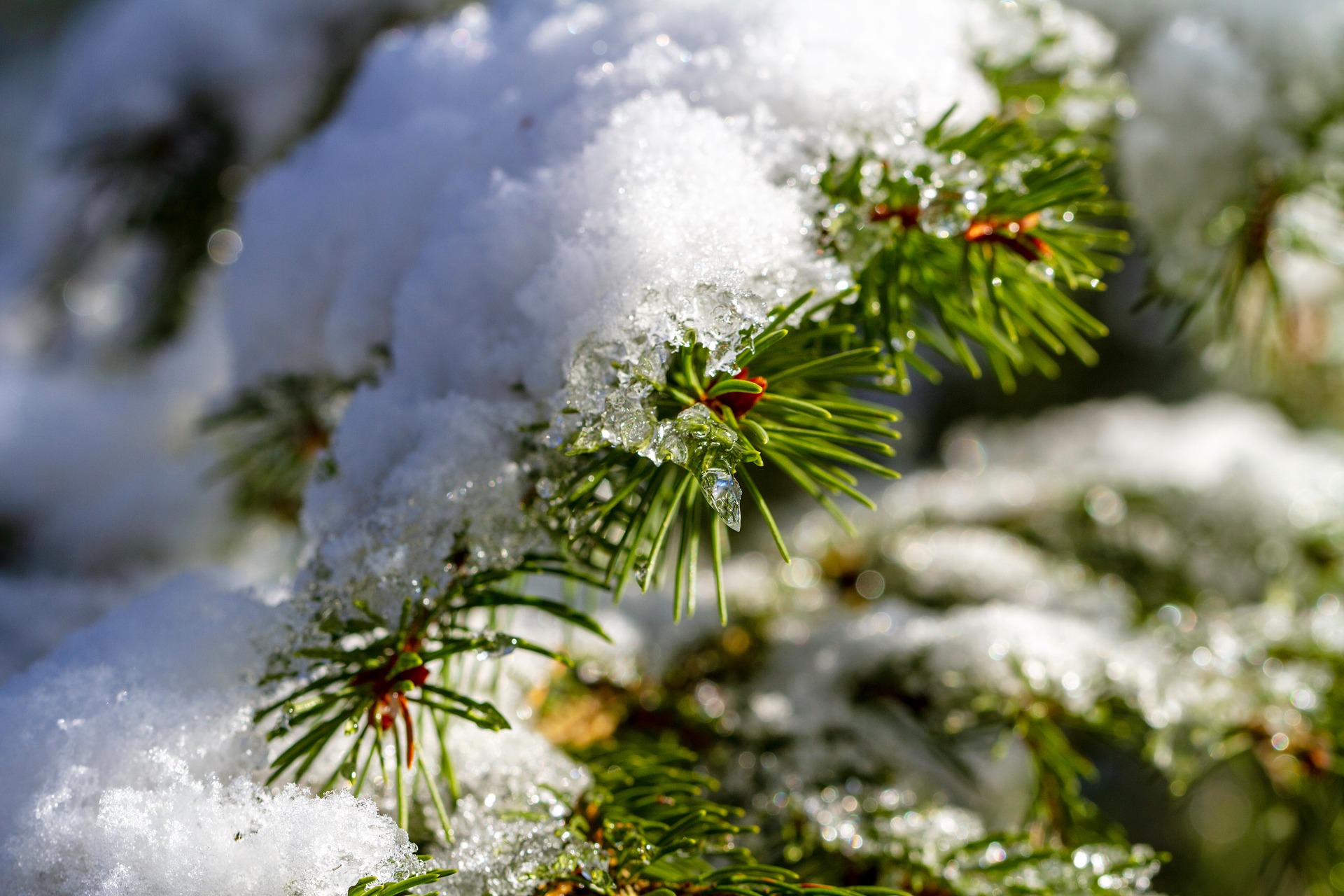 5 Tipps, wie man Schnee im Garten richtig räumt